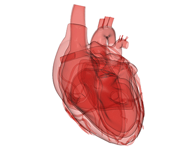 Heart Computer Image.